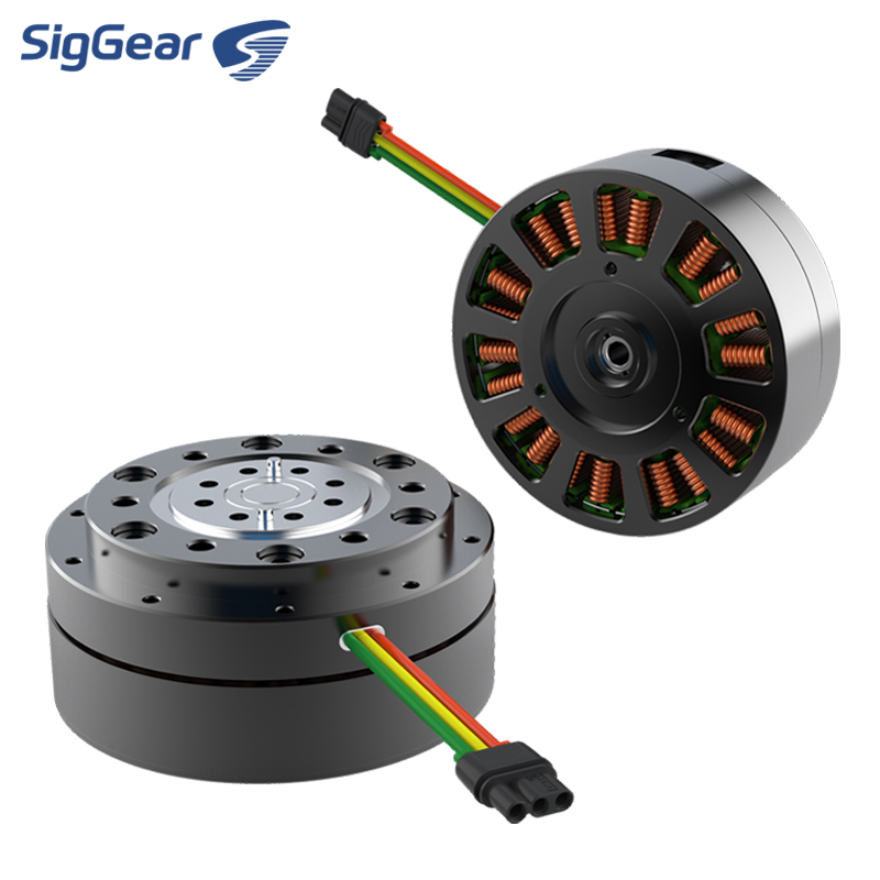 Yüksek Talep Gören Mikro 36V D - Cycloidal Reducer Bldc Motor incelemesi ve fiyatı